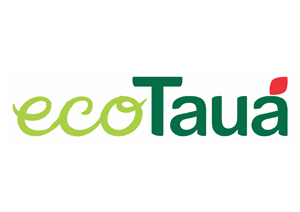 Auxilium Análises e Soluções Empresariais. Consultoria Empresarial Especialisada